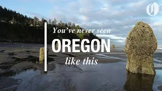'Ghost Forest' in Neskowin completely revealed by extremely low tide