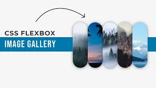 How to Create a Responsive Image Gallery with CSS Flexbox