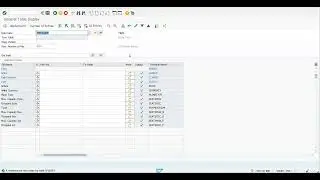 2.4 SAP ABAP Workflow - Demo 3 Execute workflow through Program