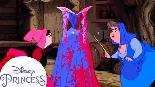 Is Aurora's Dress Pink or Blue? | Disney Princess