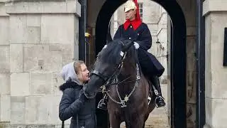 She kept bothering the horse. so the horse and the guard tell her to back off 