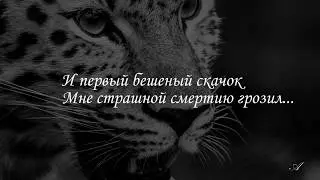 М.Ю. Лермонтов. Мцыри. Бой с барсом. Читает Сергей  Бехтерев