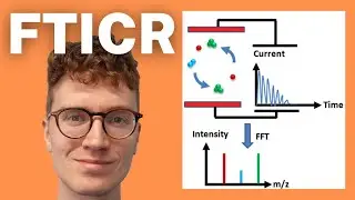 Fourier-Transform Ion Cyclotron Resonance Mass Spectrometry (FTICR MS)