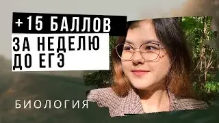 Подготовка к ЕГЭ ПО БИОЛОГИИ 2022 |  Что делать, когда осталась неделя?