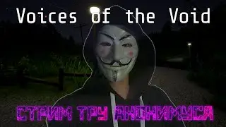 А ВЫ ТОЖЕ СЛЫШИТЕ ГОЛОСА ИЗ ПУСТОТЫ? ПОЗДРАВЛЯЮ, ВЫ - ШИЗ! // Voices Of The Void