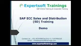 SAP SD Training | SAP SD USA Training | SAP SD Europe Training | SAP SD Cannada Training