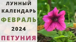 ПЕТУНИЯ: лунный календарь на ФЕВРАЛЬ 2024! Когда сажать семена ампельной кустовой петунии на рассаду