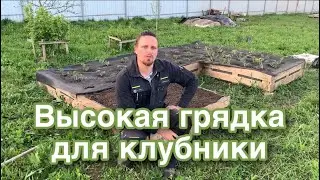 Высокая грядка для клубники // Грядка из поддонов