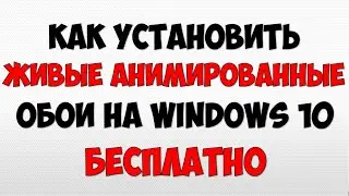 Как поставить живые анимированные обои на Windows 10 на ПК компьютер и ноутбук