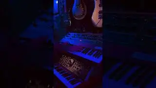 Lovely Chords with the Prophet 5 Rev4!