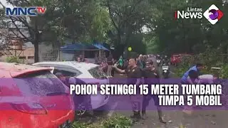 Pohon Setinggi 15 Meter Tumbang Timpa 5 Mobil di Bandung - LIP 02/11