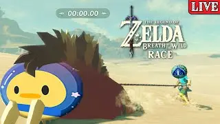 Yiga Clan, Camel & Ladies RACE vs @dannydinosaur  Zelda Breath of The Wild | Skyward Sword BOSS RUSH