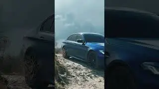 Паша Пэл ексклюзив у залива