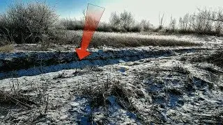Что я увидел в этой канаве! Жаль уже поздно! КУЧА РЫБЫ КАРАСЬ