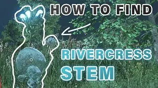 Where to get Rivercross Stem ► New World