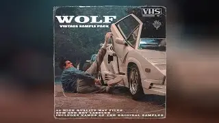 VINTAGE 90s SAMPLE PACK - "WOLF" (Jazz, Rock, Soul, Blues and Hip-Hop Samples)