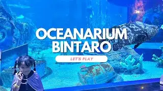 Exploring the Oceanarium at Bintaro Xchange! - A Day of Fun and Discovery