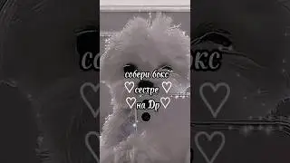 собери бокс на Др #выбирашки #эстетика #tiktok #выберашки #shorts #рекомендации
