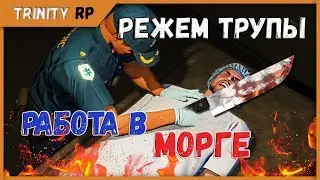 Режем трупы работа в морге на Trinity RP