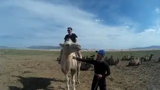 Mongolia Travel Video