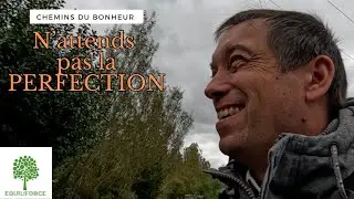 Ne pas attendre la perfection pour agir | Chemins du bonheur n°38