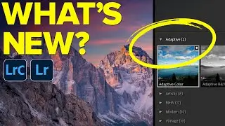 Adaptive Profiles and New Lightroom Features (Feb 2025)