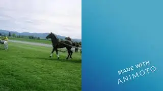 The Grass Track Harness System