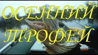 ДВА ТРОФЕЯ В КОНЦЕ ОСЕНИ \ Щука на джиг \  #спиннинг  #щука #щуканаджиг