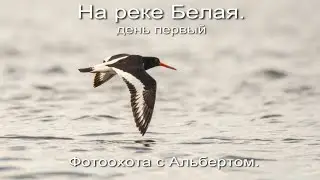 Фотоохота с Альбертом. На реке Белая. день первый.