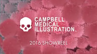 Campbell Medical Illustration 2016 Animation Generalist Demo Reel