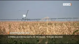 850 рублей за пай