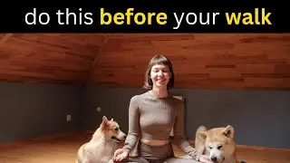 On Behalf of ALL Reactive DOGS || Guided Meditation for Dog Owners