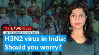 H3N2 virus: Symptoms, treatment, vaccine | Let Me Explain