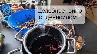 Целебное вино Авиценны. Девясил.
