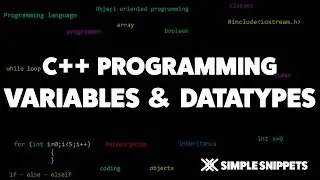 Variables and Datatypes in C++ | C++ Programming Tutorials for Beginners
