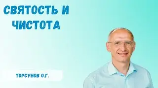 Торсунов О.Г.  Святость и чистота