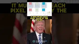 🤖Convolutional Neural Networks (CNNs) by #andrewtate and #donaldtrump