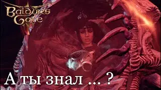 Что случится если убить Шэдоухарт на корабле? | Baldur's Gate 3 [patch 9]