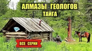 ГЕОЛОГИ РАСКРЫВАЮТ СЕКРЕТЫ ТАЙГИ ВСЕ СЕРИИ СУДЬБА ДОМ в ЛЕСУ ПРОМЫСЕЛ ИСТОРИИ из ЖИЗНИ АУДИОКНИГА