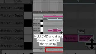 Ableton Live Tips & Tricks🎹 How to Hi-hats