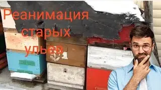 Ремонт старых ульев