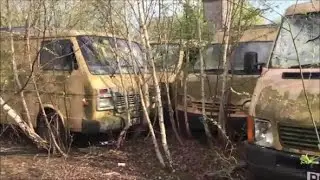 Exploring an abandoned Van Graveyard - with Exploring With Lucy