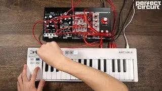 Qu-Bit Chord V2 Polyphonic Eurorack Oscillator & Prism Stereo Time & Filter Based Effect