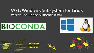 Setting up Window Subsystem for Linux (WSL1)