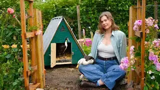 We Built An A-Frame Tiny House From Scratch... For Our Ducklings