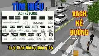 LUẬT GIAO THÔNG VIỆT NAM: Tìm Hiểu Các Vạch Kẻ Đường Trong Luật Giao Thông Đường Bộ #Giaothong