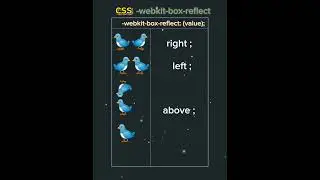 Learn css -webkit-box-reflect                                            