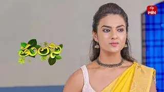 Thulasi | 6th September 2024 | Full Episode 217 | ETV Plus