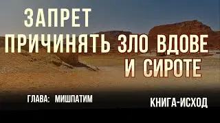 ЗАПРЕТ ПРИЧИНЯТЬ ЗЛО ВДОВЕ И СИРОТЕ - Глава: Божественные установления. Мишпатим Мидраш Рассказывает