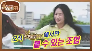 복고댄스 아세요? 그때 그 예능 〈댄스 신고식〉비하인드🤣 [사장님 귀는 당나귀 귀/Boss in the Mirror] | KBS 240908 방송